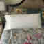 Customer photo 2 of 2