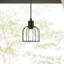 Luminaire suspendu simple noir à 1 lumière Reeanna