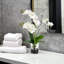 Double orchidée phalaenopsis, arrangement floral-103109822