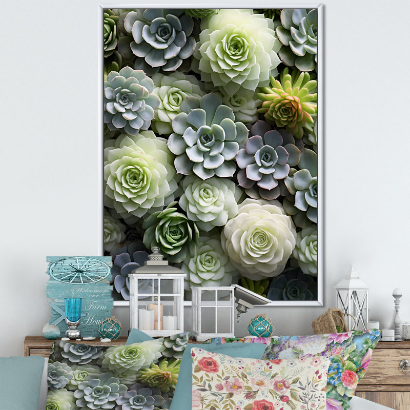 Potterslea " Green Succulents Flowers Serene II ", White Floater Frame, 44" H x 34" W x 1.5" D