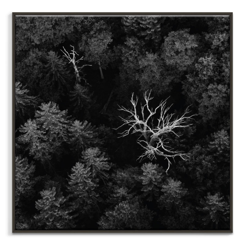 Print on Canvas, Black, 102cm H x 102cm W