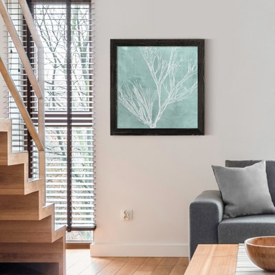 " Seaweed On Aqua VII "