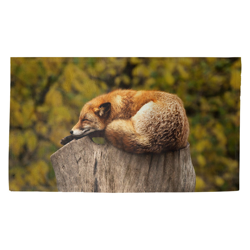 Tapis de porte d’intérieur fox sleep Fawcett, Rectangle 5 pi 4,5 po x 7 pi 2 po