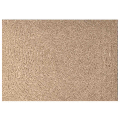 Modern Indoor and Outdoor Rug
