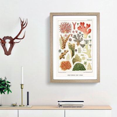 Great Barrier Reef Corals VII by W. Saville-Kent - Picture Frame Painting Print