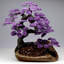 Grand arbre à améthyste avec base de citrine / 20,2 lb