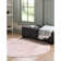 Boyland Oriental Indoor Rug