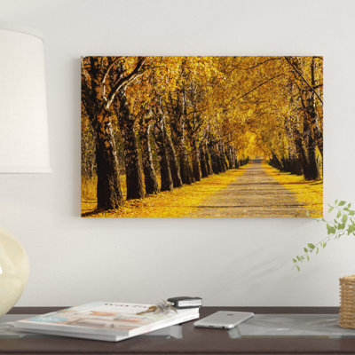 " Poland, Birch Alley " Color Photography
