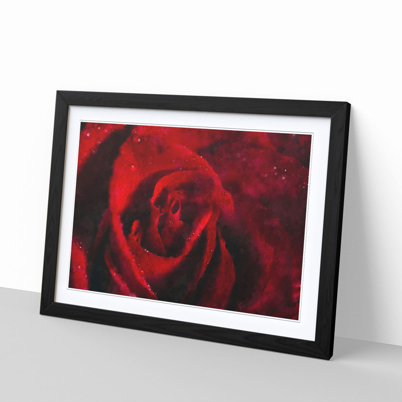 Drops upon a Red Rose - Picture Frame Graphic Art Print, 45cm H x 63cm W x 2cm D, Black Framed