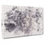 Lion in the Mist Watercolour - Wrapped Canvas-56660981