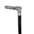 Empress Beaux Arts Decorative Walking Stick