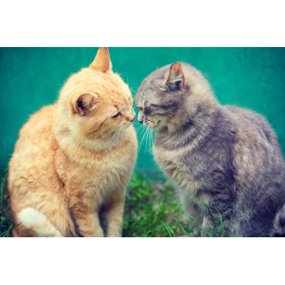 " Two Cats Sniffing " by Vvvita
