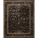 Extravagance II Oriental Hand-Knotted Rectangle Wool/Silk Area Rug in Black/Brown/Ivory