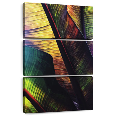 Feuilles de palmier Harnek Vibrant