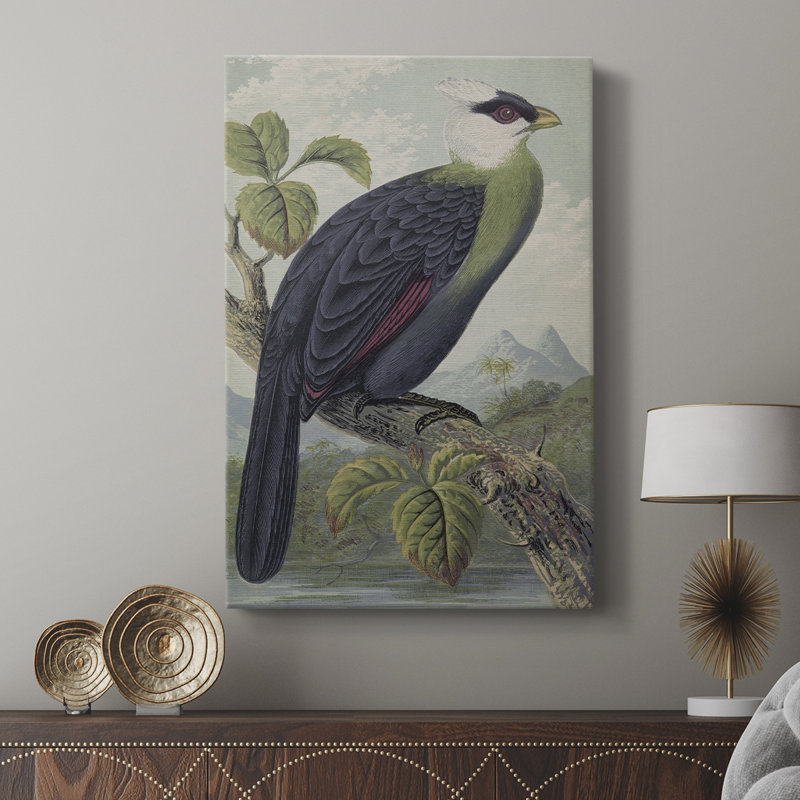 Vintage Animal Print XXXV - galerie Cavas sur mesure, H 12 po x l 8 po