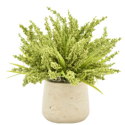 Heather Arrangement in Pot