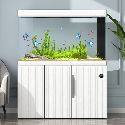Réservoir d'aquarium écologique en verre Minimalist