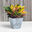 Pot à fleurs en pierre Alaunah-97461803-97461808