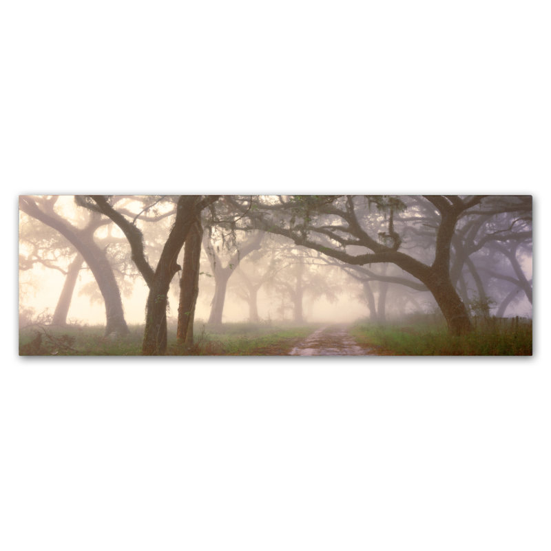Albans «Dawns Early Light», reproduction de photo sur toile tendue, H 10 po x l 32 po