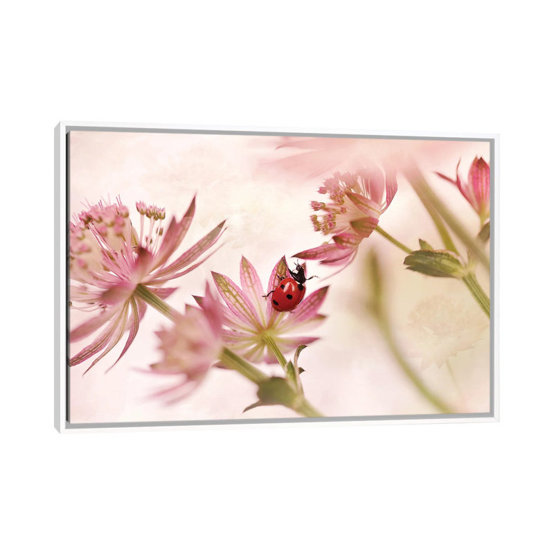 Ladybird And Pink Flowers by Ellen Van Deelen - Floater Frame Print on Canvas