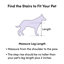 Escalier pour animal 4 marches Friedlaender-1854316088