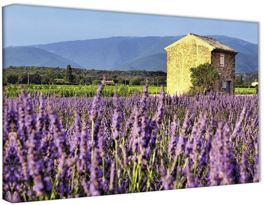 Leinwandbild Auf dem Feld des Lavendelhauses