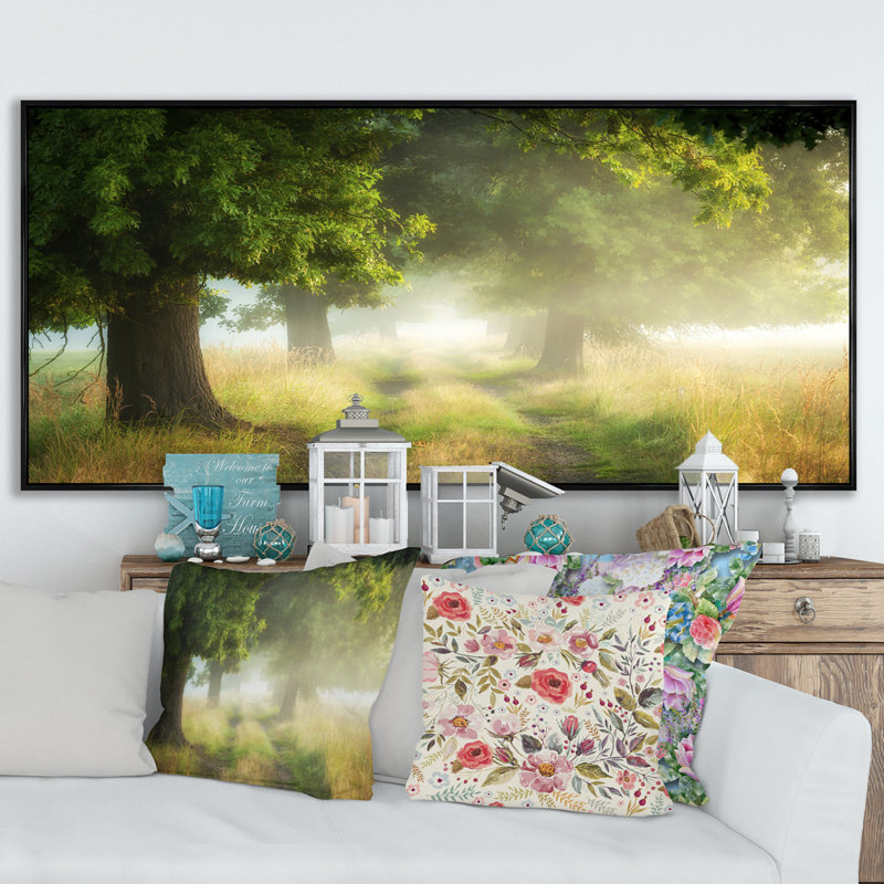 Foggy Morning Old Oaks - photographie sur toile, Cadre noir, H 12 po x l 20 po x P 1 po