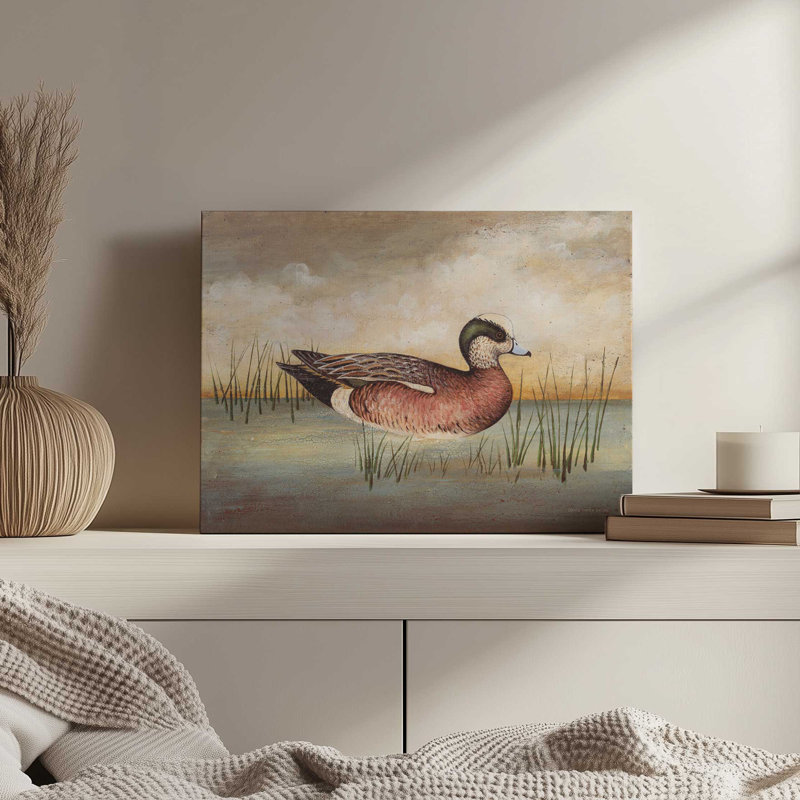 «American Wigeon» par David Carter Brown, reproduction d'art, L 16 po x H 12 po, Ne s’applique pas, Toile non encadrée