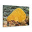 «Sponge Hunting Sponge on Hunt», reproduction d'art mural-843921094