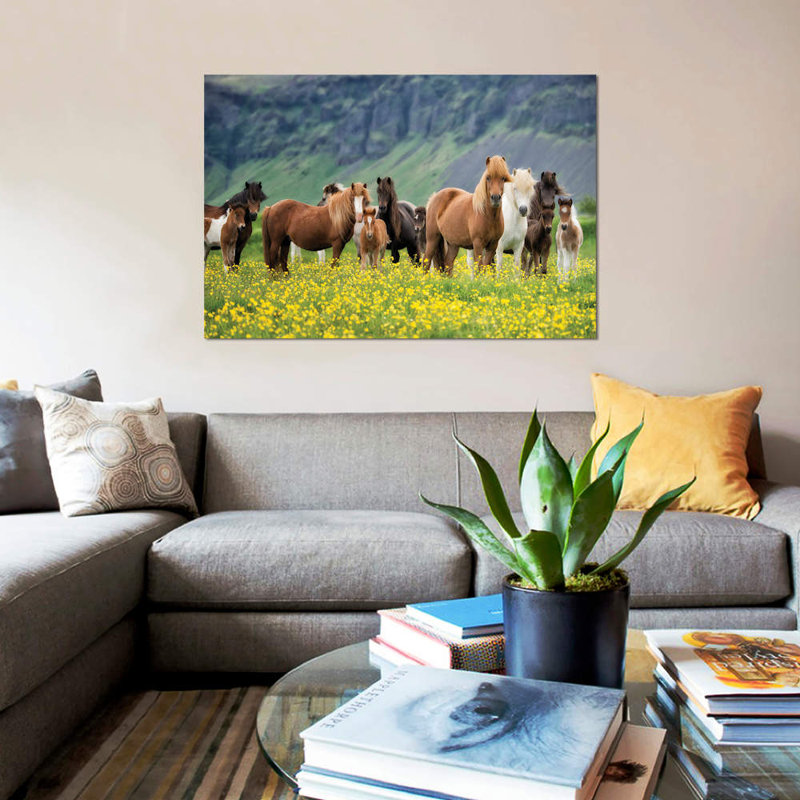 « islandais chevaux vii », reproduction de photo sur toile, H 18 po x l 26 po x P 1,5 po, Toile tendue, Pas de tapis