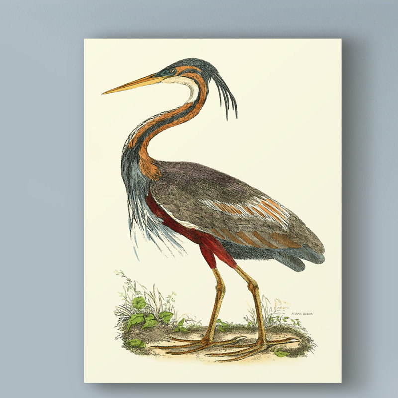 «Custom Purple Heron» par John Selby, reproduction sur toile, H 19 po x l 14 po x P 2 po