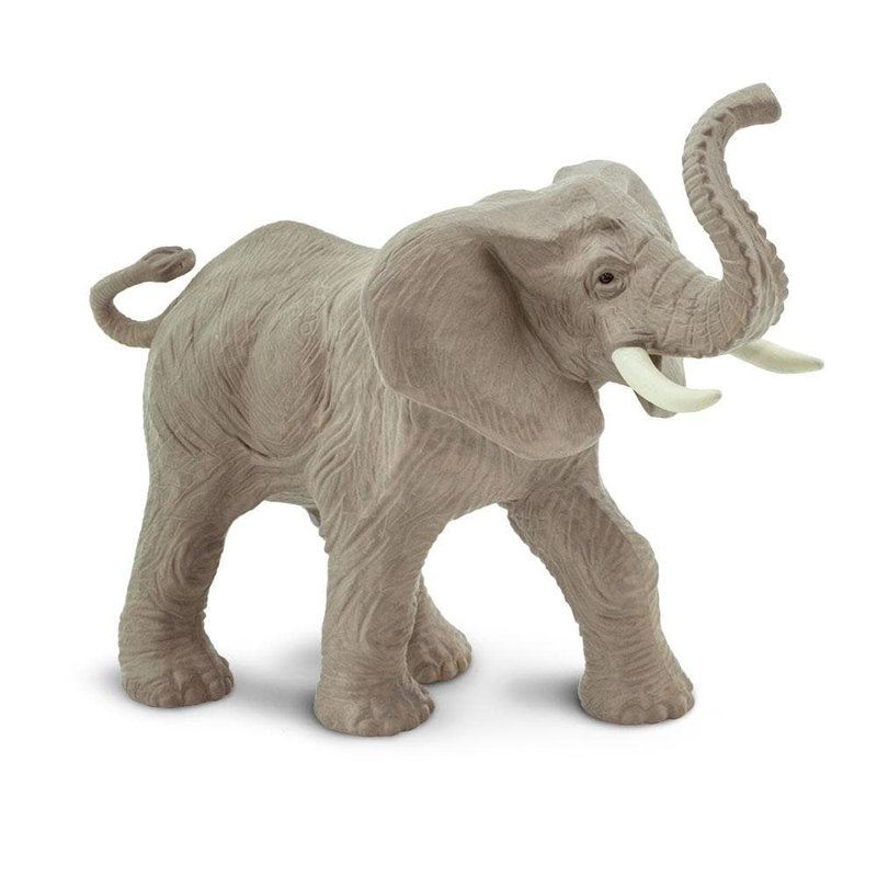 Éléphant d'Afrique