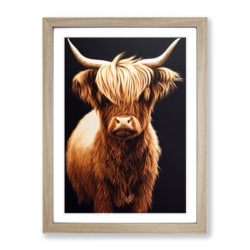 A Splendid Highland Cow - Wall Art, 66cm H x 48cm W x 2cm D, Oak Framed, White
