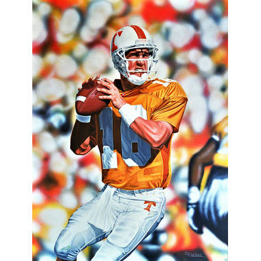 Peyton Manning - Denver Broncos fine art print –