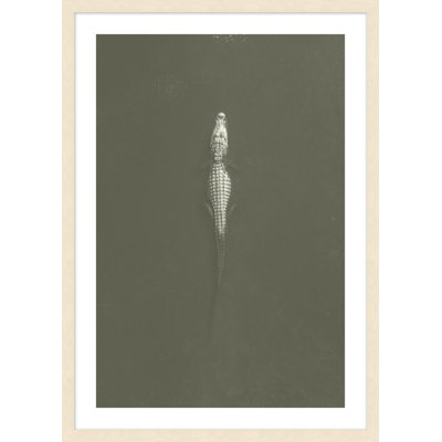 Creeping Crocodile Print