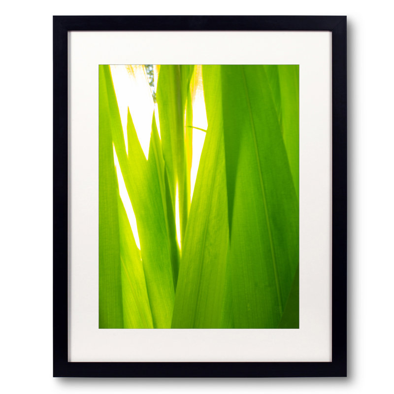 Sunkissed _ 3593 par Petra Trimmel - impression, Papier avec cadre noir, H 21,25 po x l 17,25 po