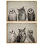 Oiseaux, animaux, hiboux, animal, 2 pièces-100135984-100135987