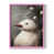 Rose est en rupture de stock