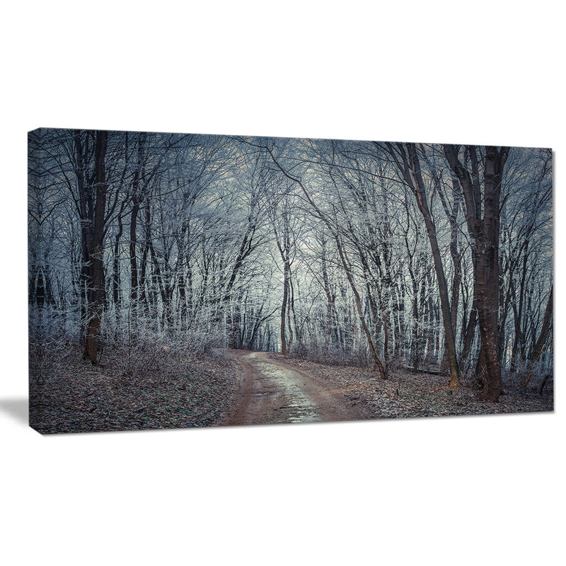 « densed gray automne forest path », reproduction de photo sur toile tendue, H 28 po x l 60 po x P 1,5 po