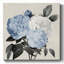 Morning Glory sur toile-57651266