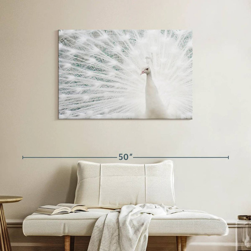 Plume de paon blanche neige, H 26 po x l 39 po