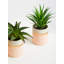 10cm Faux Succulent Plant in Ceramic Pot-171422675