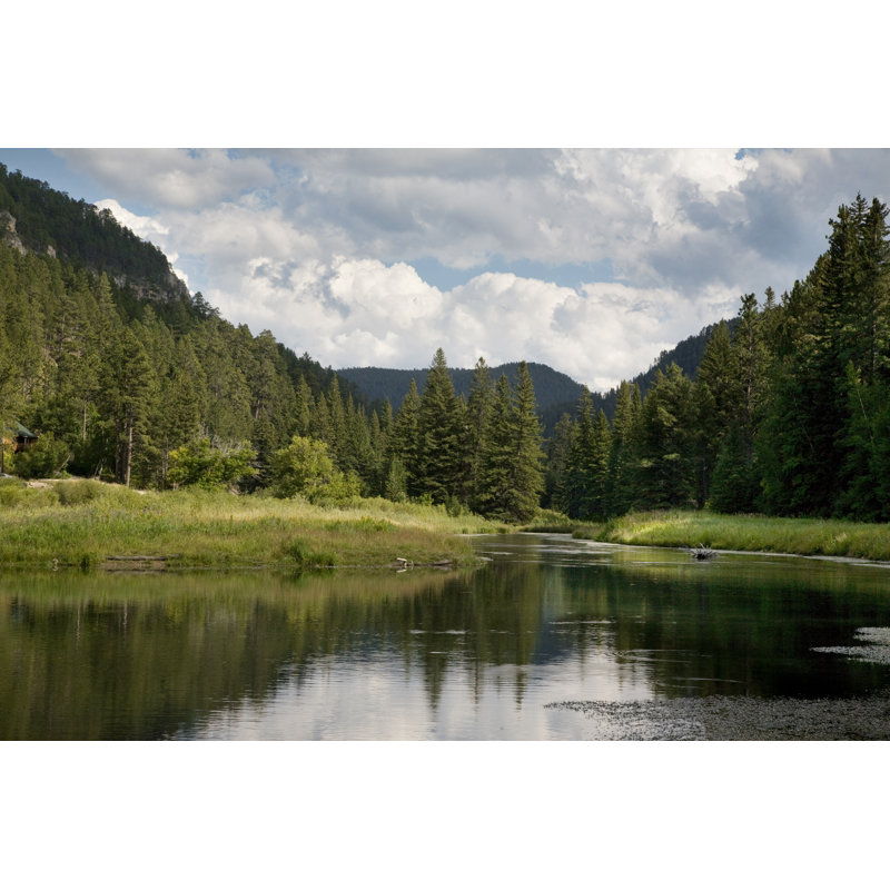 " Black Hills Trout Stream " by Willard, 12'' W x 8'' H