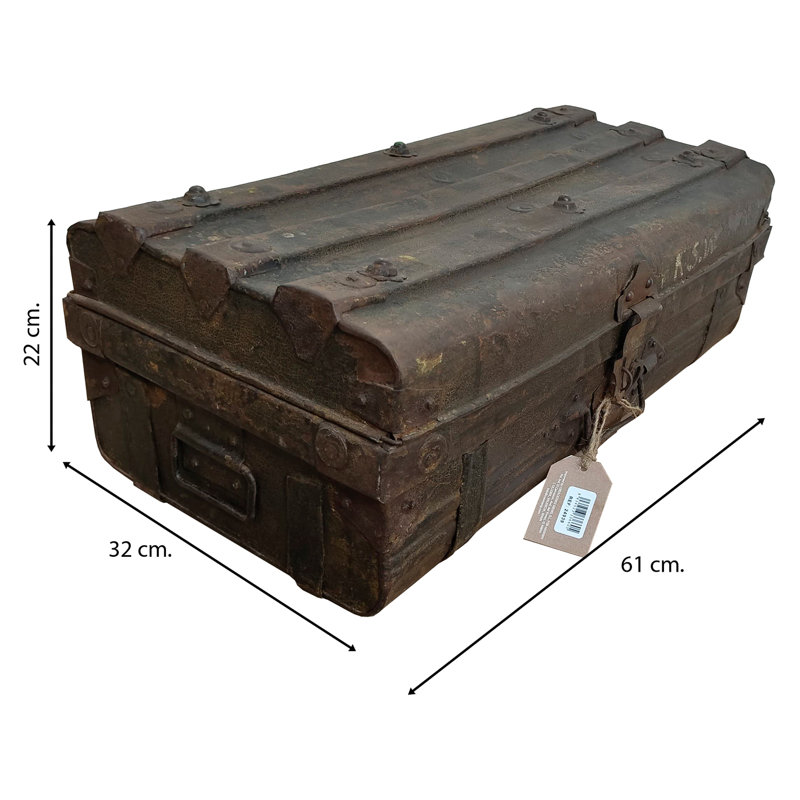 Ahleen Handmade Decorative Trunk