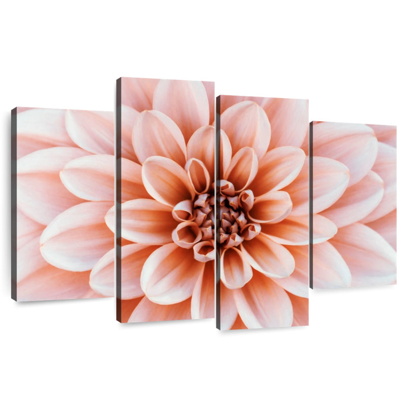 Fleur Harnek, H 27 po x l 43 po