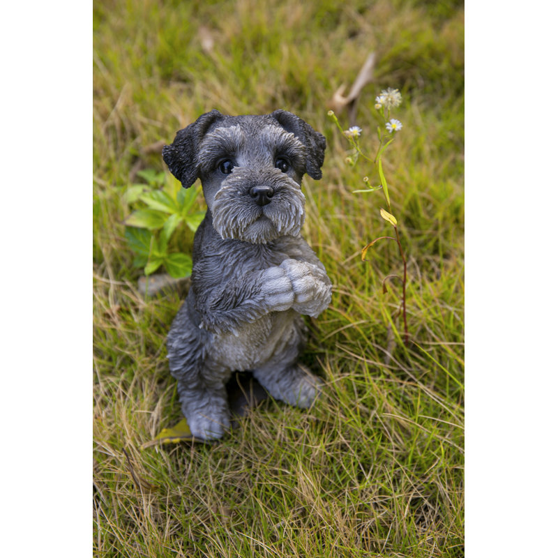 Statue chiot Schnauzer