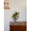 Bol décoratif en verre Elizebth