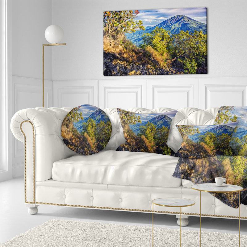 Coussin Merbabu Volcano in Java - Landscape