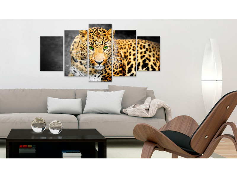 No Frame Print on Canvas, 100cm H x 200cm W