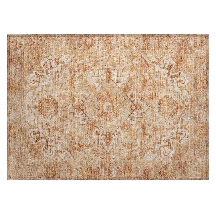 Machine Washable Indoor/Outdoor Oden ACN2164 Global Rug